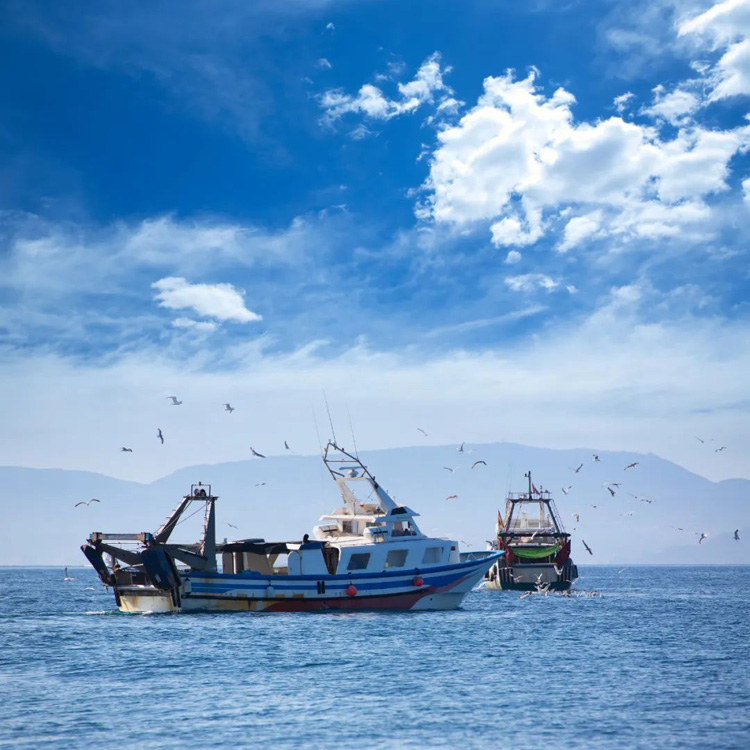 漁船海上作業場景 漁船海上作業場景